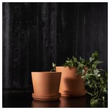 To terracotta potter, den ene med grøn plante, på mørk baggrund. Enkelt, rustikt design med dræningstallerkener.