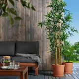 Hyggelig terrasse med stor sort sofa, BRUNBÄR terracotta potter med høje planter, trævæg. Krukker er store, velegnede til udendørs grønt.