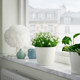 Vindueskarmen blomster: hvid, blå vase, grøn plante. Marmor, udsigt over byen.