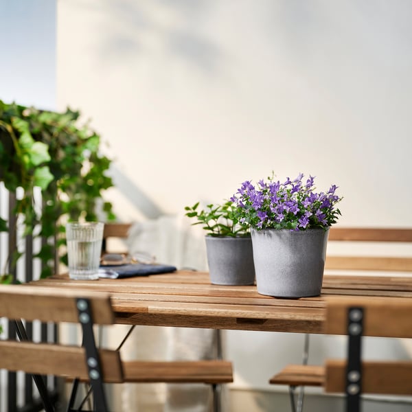 To små grå potter med lilla blomster står på et træbord blandt flere grønne planter, hvilket skaber en levende og frisk atmosfære.
