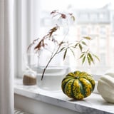 Vindueskarm med gulgrønne og hvide græskar og en klar vase med grene.