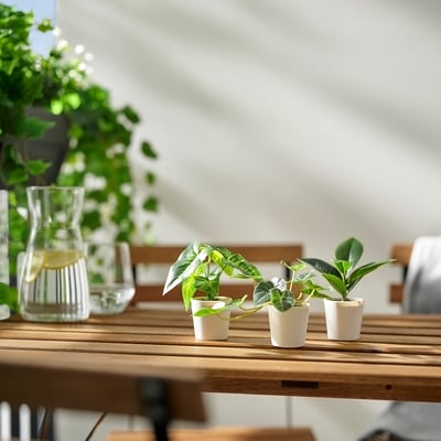FEJKA Kunstig potteplante, 3 dele, indendørs/udendørs blad
