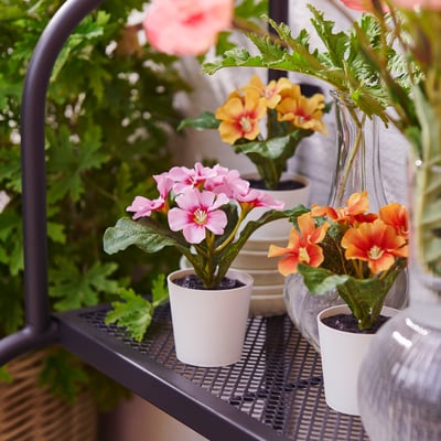 FEJKA Kunstig potteplante, indendørs/udendørs/kodriver forskellige farver, 6 cm