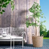 Hyggelig terrasse: gråt polstret sæde mod mørk trævæg, med stor FLODBJÖRK kurv med høj plante ved siden af.