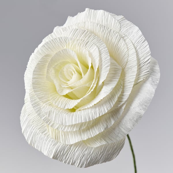 GULDSPETT Kunstig blomst, papir/rose hvid, 50 cm