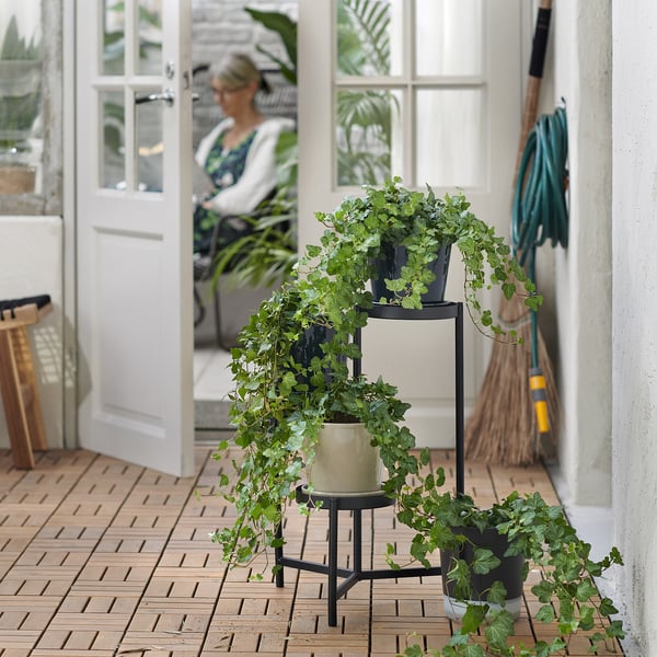 Tre-lags plantestativ holder grønne planter, nær hvid dør, udendørs omgivelser.