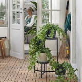 Tre-lags plantestativ holder grønne planter, nær hvid dør, udendørs omgivelser.