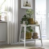 Hvid plante står nær vindue med dekorative genstande og grønne planter.