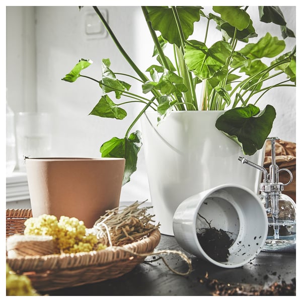 Hvide urtepotter med grønne planter, kurv, jordkop, sprøjte.