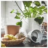 Hvide urtepotter med grønne planter, kurv, jordkop, sprøjte.