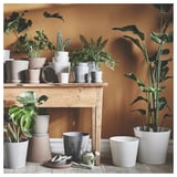 Indendørs planter i matte, teksturerede KLARBÄR krukker, varierende størrelser, nuancer af hvid og grå, på træhylder med værktøj.