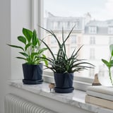 To mørkeblå KLOTLÖNN-urtepotter i en marmorvindueskarm, mindre end nærliggende bøger, med grønne indendørs planter.