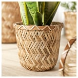 Håndvævet fletplantekurv med grøn slangeplante. Naturligt, rustikt design, let, holdbart.
