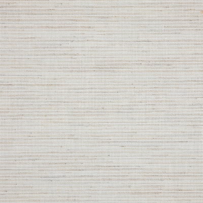 SANDVEDEL rullegardin, beige, gennemsigtigt stof, trådløst, moderne design, passer til brede vinduer.