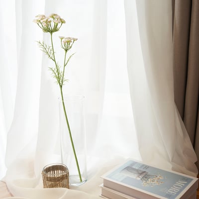 Klar vase med hvid blomst i vindueskarmen, bog og blødt lys fra gardiner.