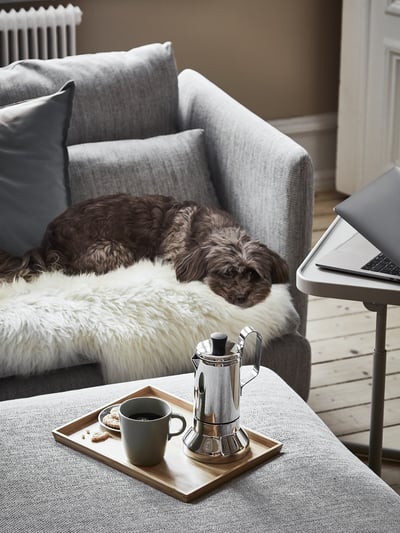 En hyggelig grå SÖDERHAMN sofa med en sovende hund, en træbakke med en kaffemaskine og et krus og en bærbar computer på et lille bord ved siden af.