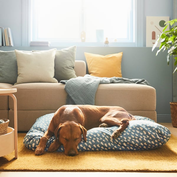 Hundeseng med brun hund sover på mønstret pude i stuen, nær sofa og plante.