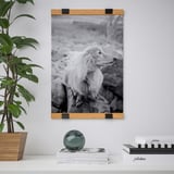 Vægmonteret plakatophæng viser en hundeplakat med en plante og en dekorativ kugle på en hylde nedenunder.