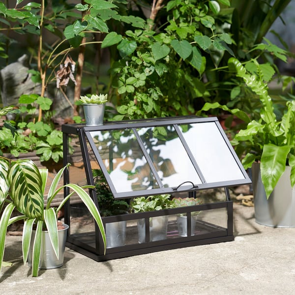 Small greenhouse with openable front, holding plants; ideal for herbs and tiny plants, indoors or outdoors.