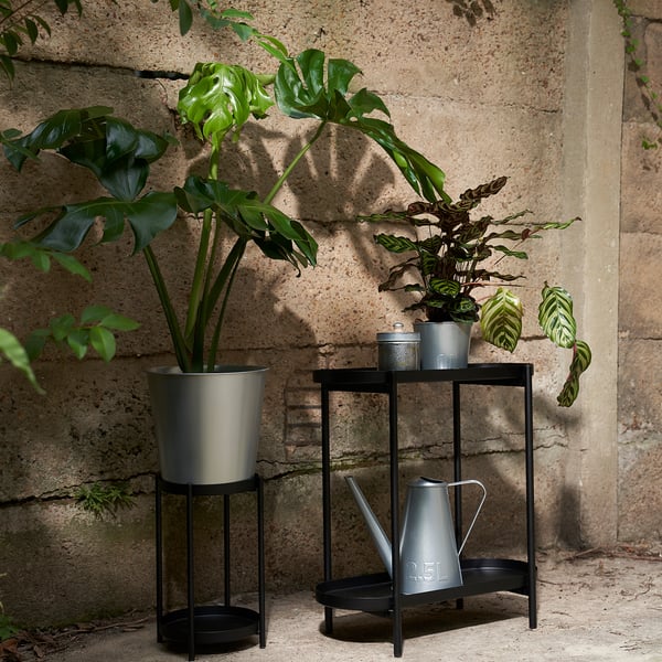 Three plants in pots: one large, two small, all galvanised steel.