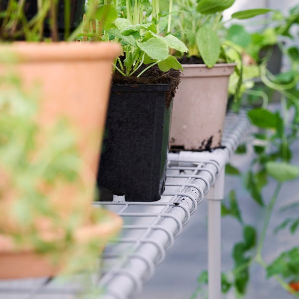 Greenhouse with potted plants, black soil, and green leaves. White, cylindrical design. Multiple shelves hold plants.