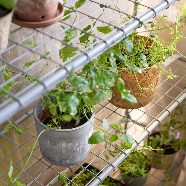Small balcony greenhouse with metal rack, holding various green potted plants in grey and woven containers.