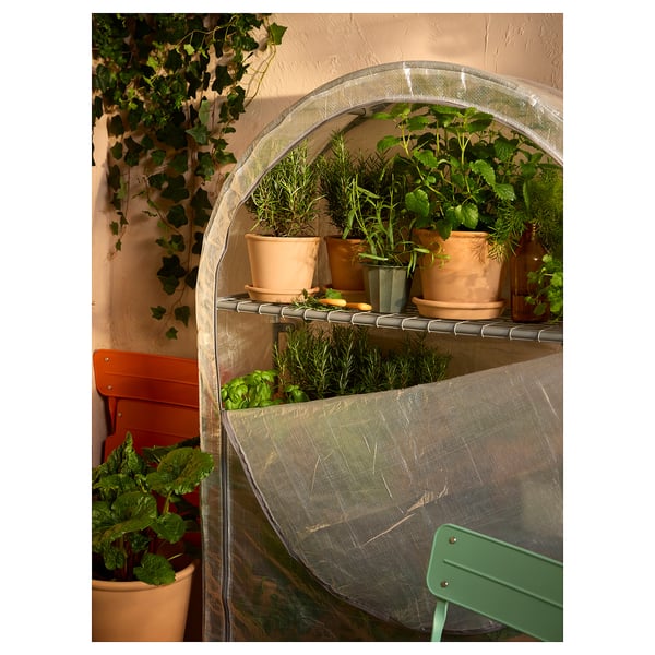 ASPAREN Greenhouse, transparent white, 95x32x162 cm