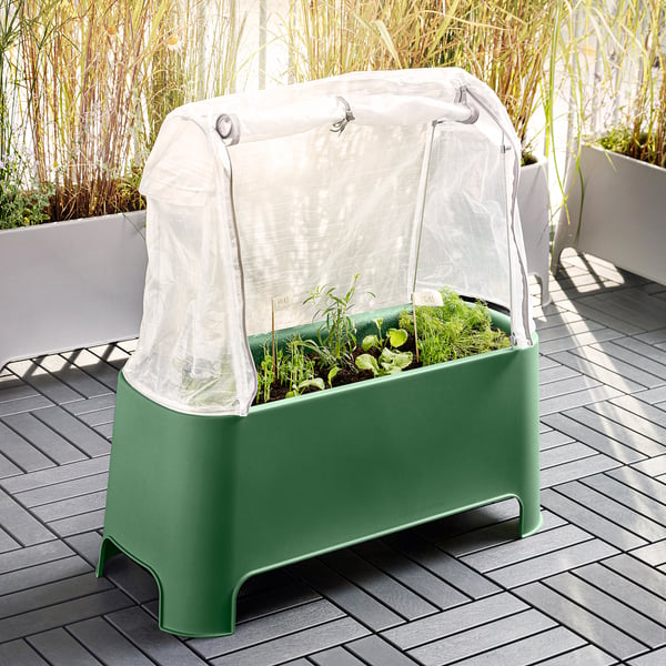 Green garden planter with plants, clear cover
