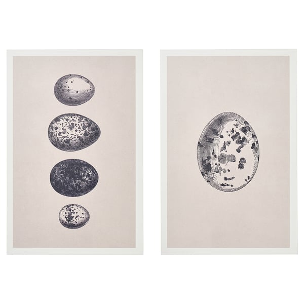 The BJÖRNAMO picture set with grey frames and black-and-white oval designs. Displayable on walls or shelves.