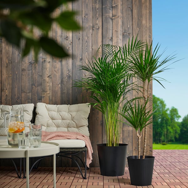Outdoor space with dark wood wall, potted plants, and cosy seating area.