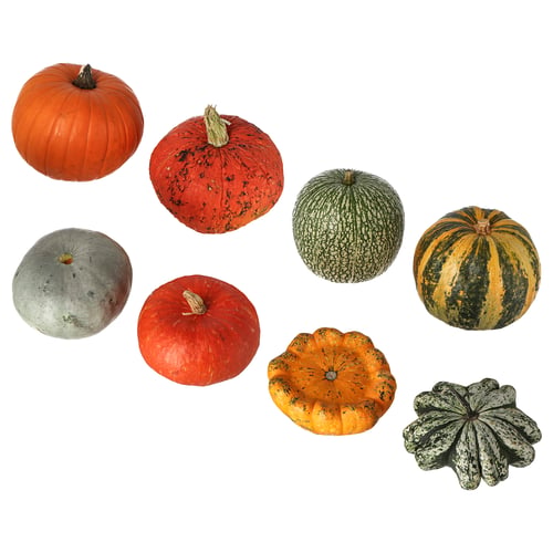 CUCURBITA Decoration pumpkin, 20 cm