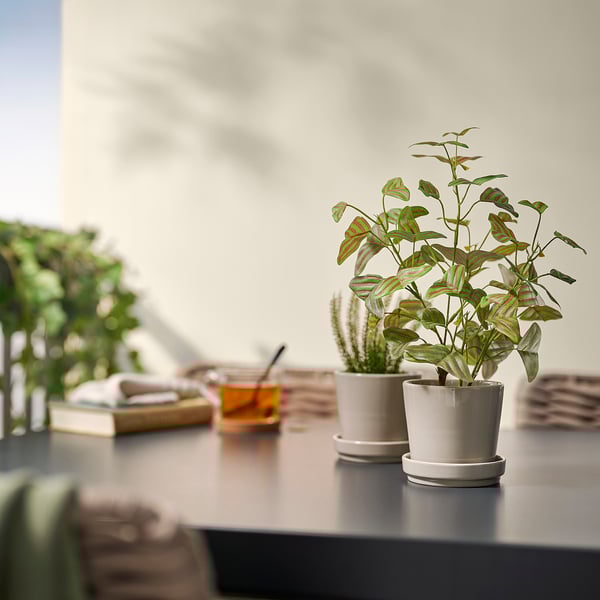 Small white FEJKA potted plant sits on a dark table, near other plants and books.