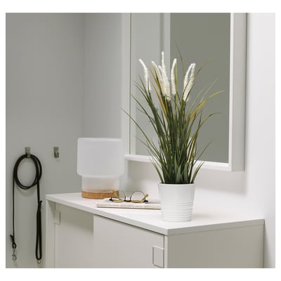 Minimalist room with FEJKA potted plant, lamp, glasses, leash, plain decor.