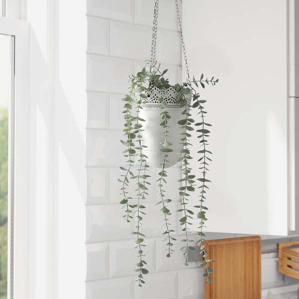 FEJKA white hanging plant with long green leaves, suspended near bright window, longer than small wooden chair beside.