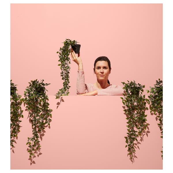 A person holds a pink fake plant above the person head, surrounded by hanging artificial plants of the same colour and design, against a pink wall.