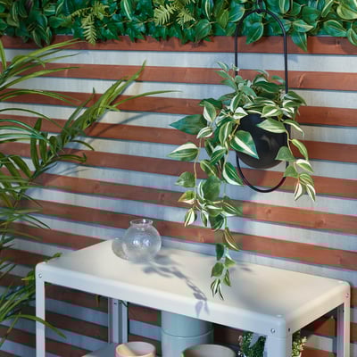 A potted artificial plant hangs on a wooden fence, adding greenery to the space. Below, a small table holds a clear vase.