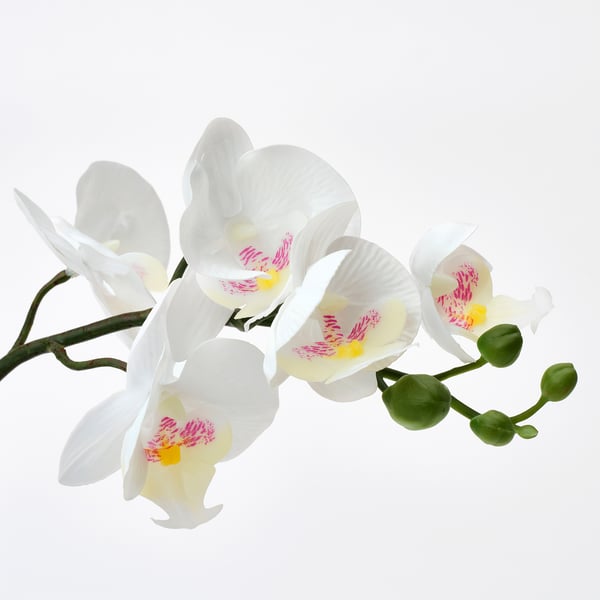 Lifelike artificial white orchids with pink centres, detailed petals, and green stems.