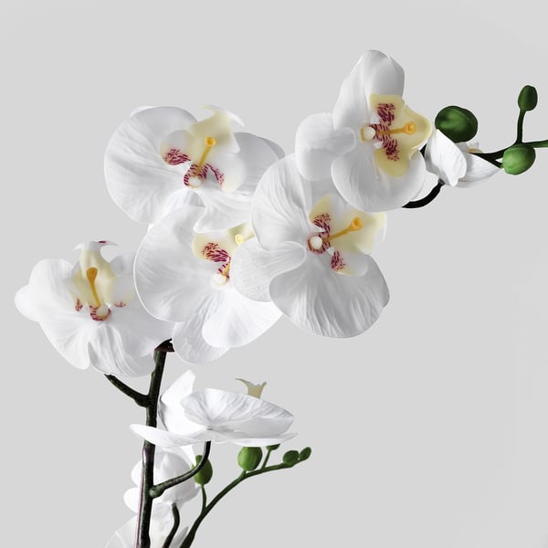 Beautiful white orchids with vibrant yellow centres, arranged elegantly on a sleek branch. Lifelike details enhance their natural charm.