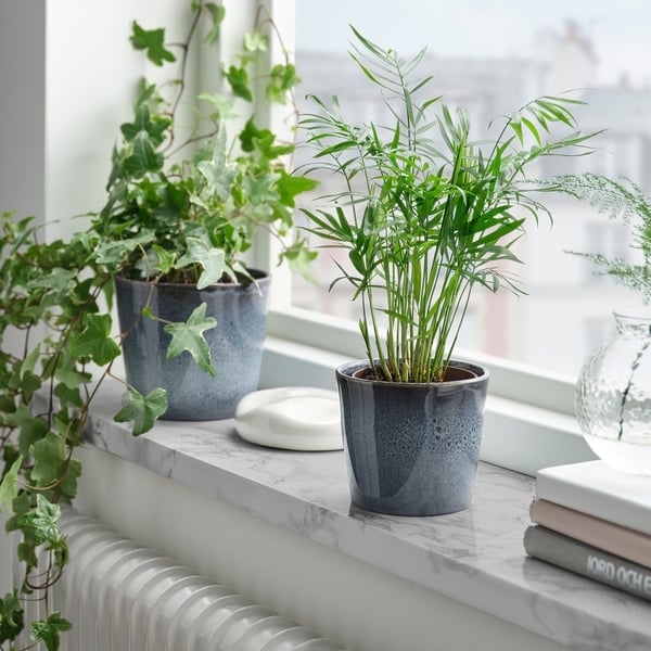 FJÄRILSBUSKE pots in blue, marble shelf - plants, book, window.