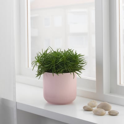 Small potted plant sits near window, adding warmth and softness.