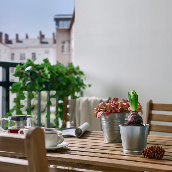 Outdoor table with tea set, a large potted plant, and hyacinths in metal pots near building.