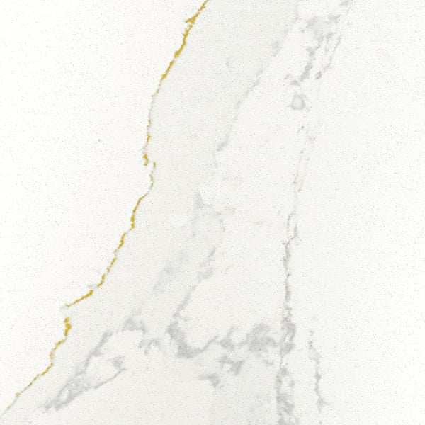 Elegant white quartz with subtle grey veining. Smooth, non-porous, stain-resistant surface. Ideal for durable worktops.