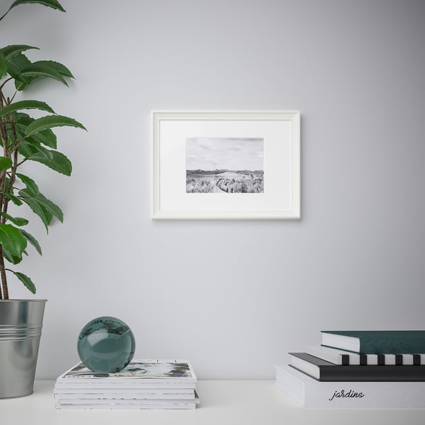 Framed black-and-white landscape photo hangs on a light grey wall, surrounded by a stack of magazines, a blue sphere, and a potted plant.