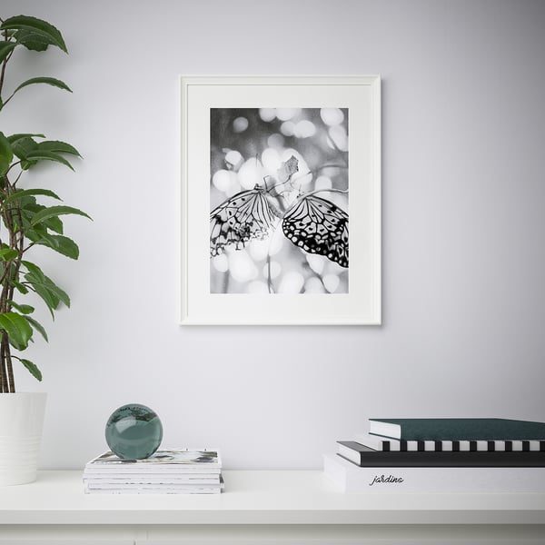 Framed butterflies hangs on wall above shelf with books and plant.