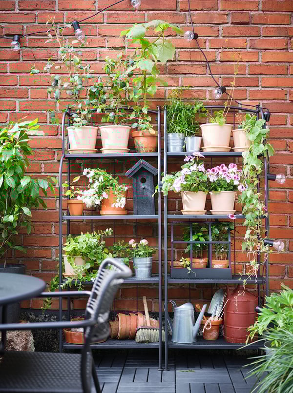 A black metal garden shelf, LÄCKÖ, against a brick wall holds various potted plants and gardening tools.