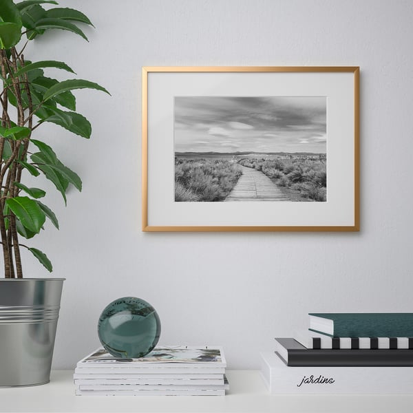 Black & white path print in gold frame, with books, globe, plant.