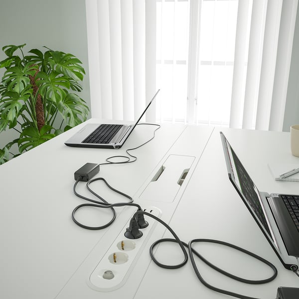 Modern office with dual laptops, neat cables, window blinds, and large plant.