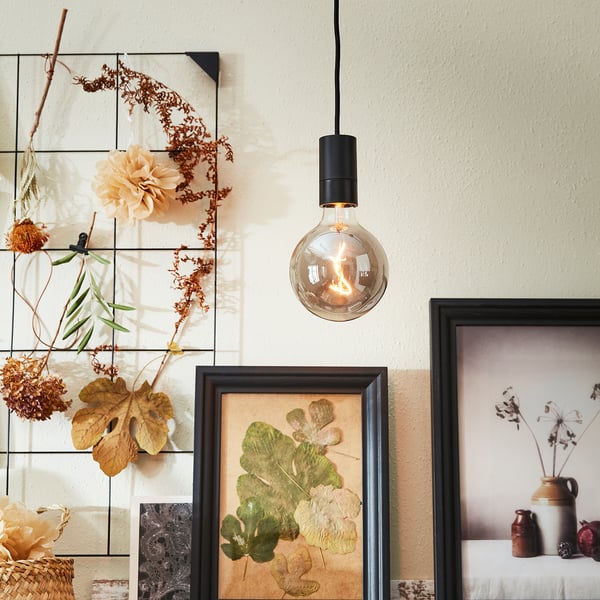 A cosy room a hanging light bulb with smoked glass, emitting warm light, and surrounded by framed dried flowers and botanical art.