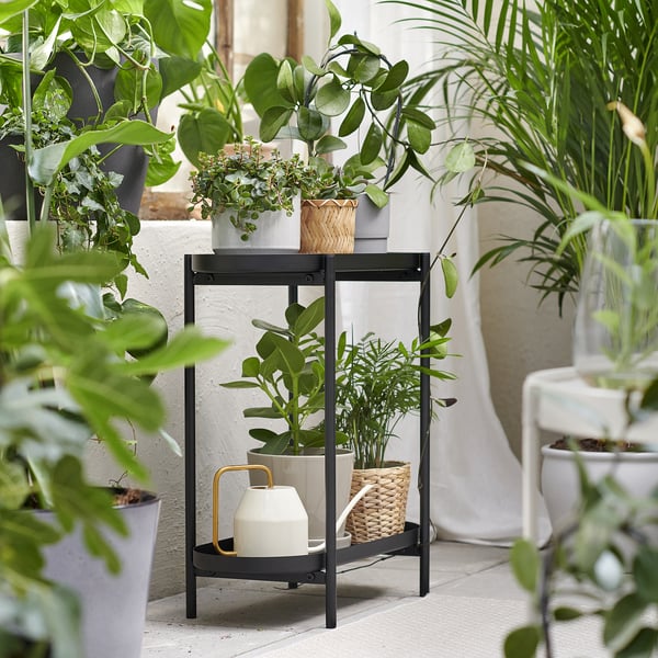 Black metal plant stand with three shelves holding various green potted plants. Modern and functional indoor garden display.