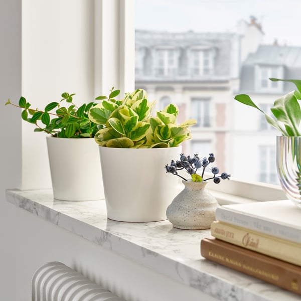 Two potted plants on window sill, one larger, with vase and books.